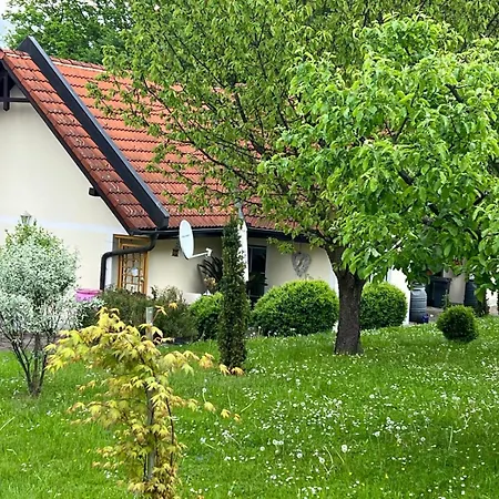 Dorner Apartment Spielfeld