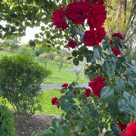 Apartment Dorner Spielfeld