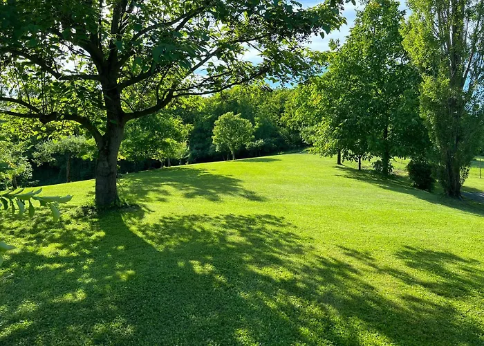 Dorner Apartament Spielfeld