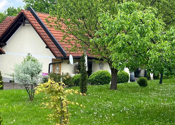 Dorner Apartament Spielfeld