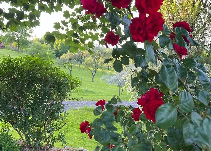 Apartment Dorner Spielfeld